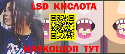 PSILOCYBIN Нальчик