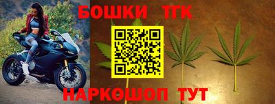 PSILOCYBIN Нальчик