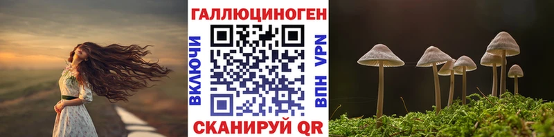 Псилоцибиновые грибы Psilocybine cubensis  где купить наркоту  Карасук 