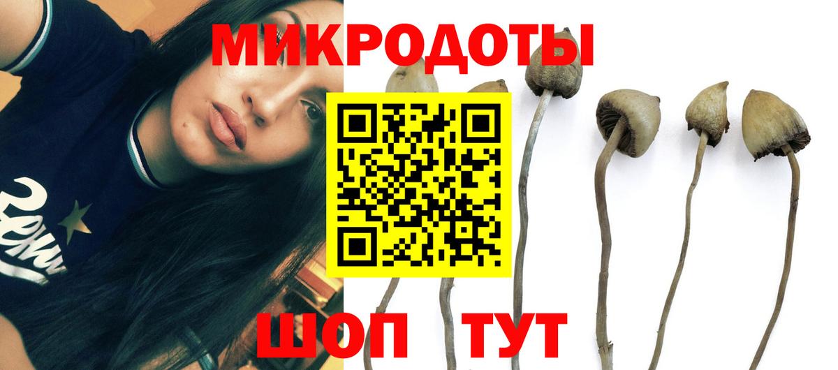 Галлюциногенные грибы мицелий  Псилоцибиновые грибы Psilocybe  Вход с VPN  Карасук 